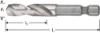 Afbeeldingen van ROTEC Boorbit HSS-G ¼"-E6,3 4,0MM
