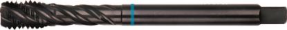 Afbeeldingen van ROTEC Machinetap HSS-E INOX blank blind DIN376 M18