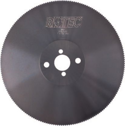 Afbeeldingen van ROTEC Cirkelzaagblad HSS 300X2,5X32MM Z=220 P=4