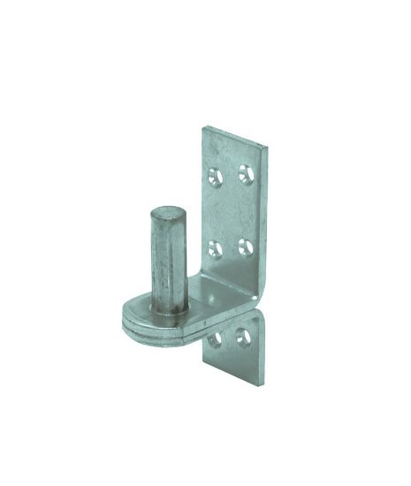 Afbeeldingen van GEBR. BODEGRAVEN Plaatduim EV verhoogd Ø16X45MM 50 38X5MM