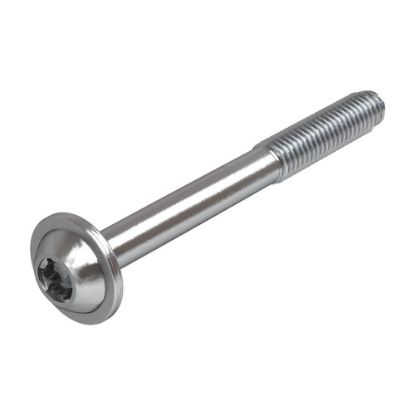 Afbeeldingen van GEBR. BODEGRAVEN Sherpa borgschroef RVS304 3X20/9MM
