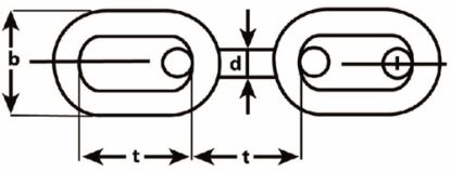 Afbeeldingen van DX Voetketting lange schakel type 763 RVS316
