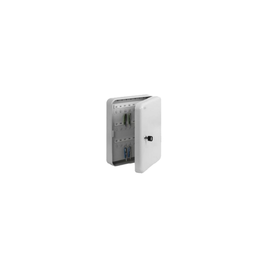 Afbeeldingen van FILEX SECURITY Sleutelkast Filex wit 93 haken 300X240X75MM