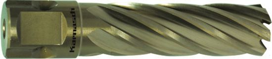 Afbeeldingen van Kernboor HSSXE GOLD-T 25X55MM