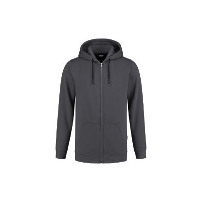 Afbeeldingen van Hoodie met rits Sweeny 14003 grijs L