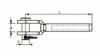 Afbeeldingen van Gaffelterminal RVS316 4MM