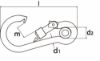 Afbeeldingen van Karabijnhaak + kous & schroef RVS316 80X8MM