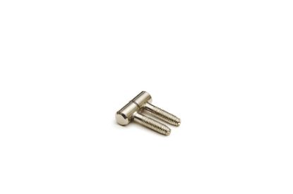Afbeeldingen van Meubel Inboorpaumelle smal vernikkeld 9X25MM