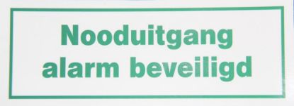 Afbeeldingen van Pictogram 'Nooduitgang alarm beveiligd'