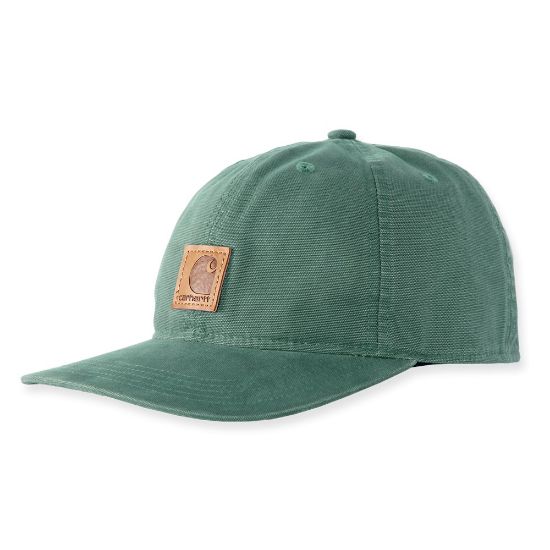 Afbeeldingen van CARHARTT Pet Odessa 100289 frosted balsam onesize