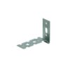 Afbeeldingen van GEBR. BODEGRAVEN Lijmbouwmuuranker dilaterend SV 50X73MM 22X1,25MM
