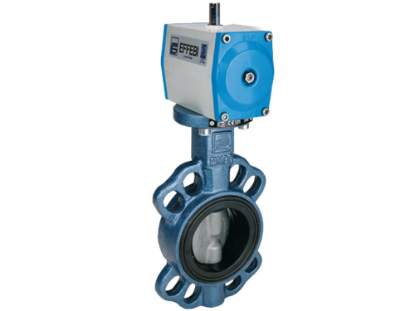 Afbeeldingen van DN 50 GG25 EPDM PN16 DW ACTUATOR