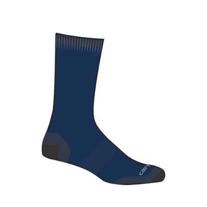 Afbeeldingen van CARHARTT Sokken katoen 802212 navy L 3x