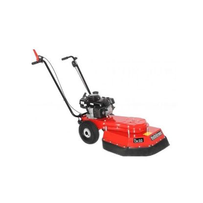 Afbeeldingen van TIELBÜRGER Onkruidborstelmachine TW50 Honda GCV170