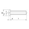 Afbeeldingen van Metaalschroef pan CK DIN85 EV M5X10MM