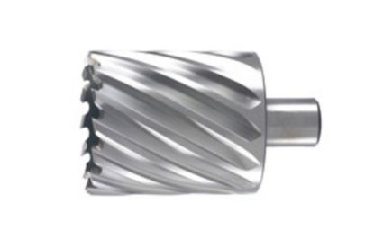 Afbeeldingen van Kernboor 99X55MM