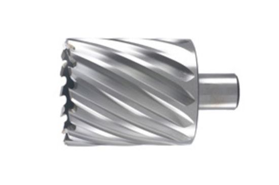 Afbeeldingen van Kernboor 100X55MM