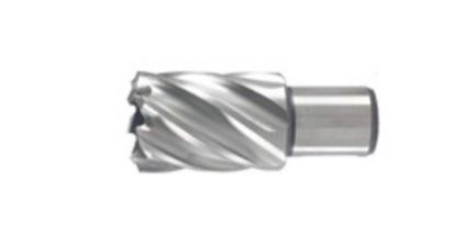 Afbeeldingen van Kernboor 99X30MM