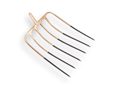 Afbeelding voor categorie Rieken