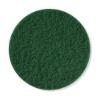 Afbeeldingen van FESTOOL Schuurvlies STF 125MM green 