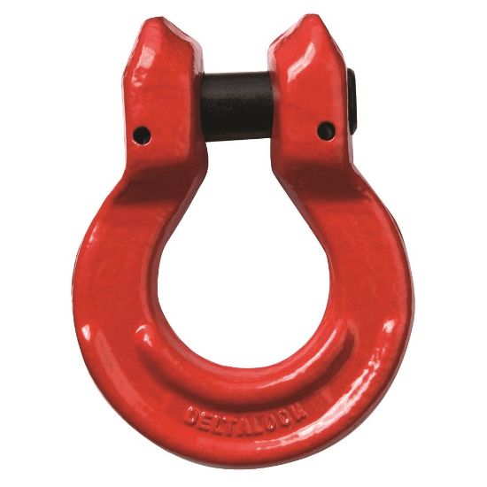 Afbeeldingen van Omega schalm met gaffel Grade 80 3,15T