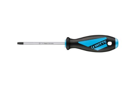Afbeeldingen van WITTE Schroevendraaier MAXX TORX T20