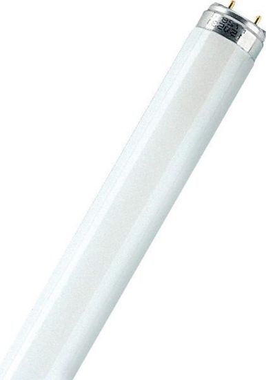 Afbeeldingen van TL-lamp kleur 33 8W