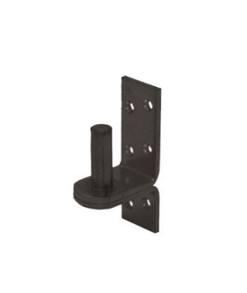 Afbeeldingen van GEBR. BODEGRAVEN Plaatduim EPZ verhoogd 35MM Ø16X45MM 38X5MM