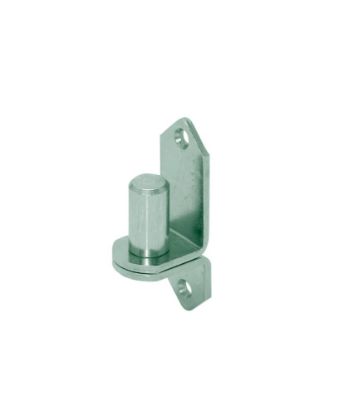 Afbeeldingen van GEBR. BODEGRAVEN Plaatduim EV 2 gaten Ø18X35MM 33X4MM