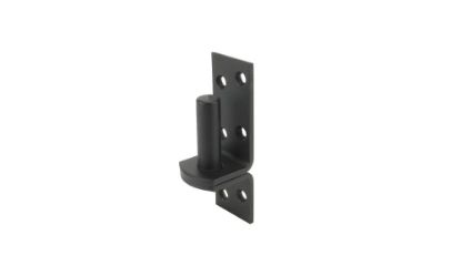 Afbeeldingen van GEBR. BODEGRAVEN Plaatduim EPZ Ø16X45MM 38X5MM