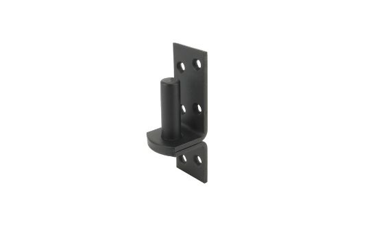 Afbeeldingen van GEBR. BODEGRAVEN Plaatduim EPZ Ø16X45MM 38X5MM