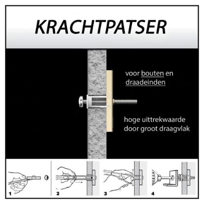 Afbeeldingen van Hollewandplug met bout
