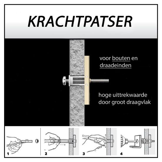 Afbeeldingen van Hollewandplug met bout